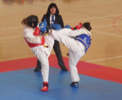 Se celebr&oacute; el Campeonato Navarro de Kenpo